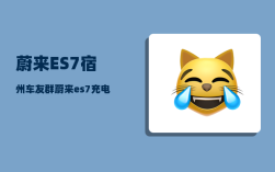 蔚来ES7宿州车友群_蔚来es7充电功率