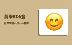 蔚来EC6金昌车友群_什么suv有牵引资质