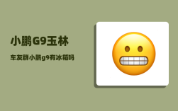 小鹏G9玉林车友群_小鹏g9有冰箱吗