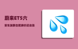蔚来ET5六安车友群_合肥房价还会涨吗