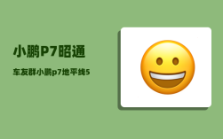 小鹏P7昭通车友群_小鹏p7地平线5这么获得