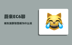 蔚来EC6聊城车友群_张雪峰为什么说自己是山东人