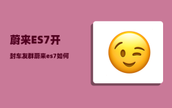 蔚来ES7开封车友群_蔚来es7轮眉灯有什么用