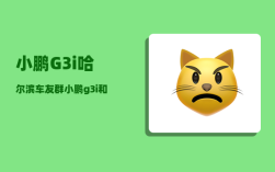 小鹏G3i哈尔滨车友群_小鹏g3i和几何a哪个好