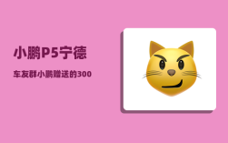 小鹏P5宁德车友群_小鹏赠送的3000度电是每年都有么