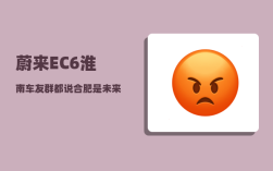 蔚来EC6淮南车友群_都说合肥是未来的深圳