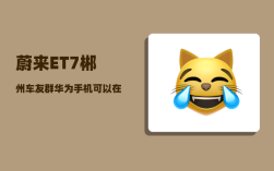 蔚来ET7郴州车友群_华为手机可以在蔚来车无线充电吗