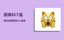 蔚来EC7淄博车友群_蔚来ec7首发版跟普通版