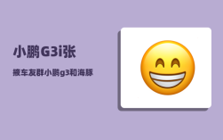 小鹏G3i张掖车友群_小鹏g3和海豚选哪个