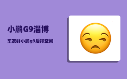 小鹏G9淄博车友群_小鹏g9后排空间为啥那么小