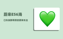 蔚来ES6海口车友群_尊贵的蔚来车主欢迎语