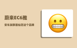 蔚来EC6雅安车友群_荟仙芝这个品牌怎么样