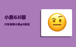 小鹏G3i银川车友群_小鹏g3i真实故障率