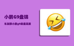 小鹏G9盘锦车友群_小鹏g9底盘高度