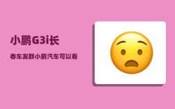 小鹏G3i长春车友群_小鹏汽车可以看到定位吗