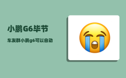 小鹏G6毕节车友群_小鹏g6可以自动召唤到身边吗