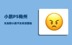 小鹏P5梅州车友群_小鹏汽车突然面临死亡的危机