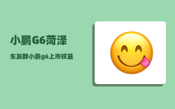 小鹏G6菏泽车友群_小鹏g6上市权益是什么