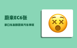 蔚来EC6张家口车友群_蔚来汽车李斌是个什么样的人