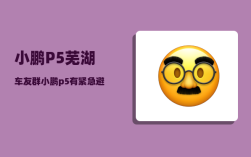 小鹏P5芜湖车友群_小鹏p5有紧急避让功能吗