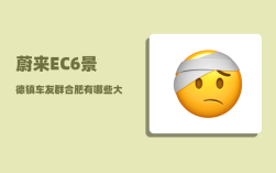 蔚来EC6景德镇车友群_合肥有哪些大型企业