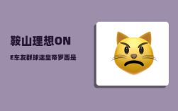 鞍山理想ONE车友群_球迷皇帝罗西是怎样的人