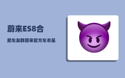 蔚来ES8合肥车友群_蔚来官方车衣是什么牌子的