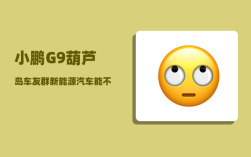 小鹏G9葫芦岛车友群_新能源汽车能不能跑长途