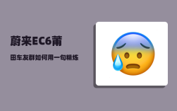 蔚来EC6莆田车友群_如何用一句精炼的话总结各汽车品牌的特点