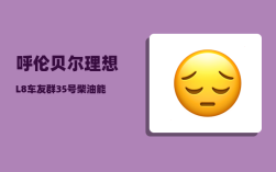 呼伦贝尔理想L8车友群_35号柴油能混用吗
