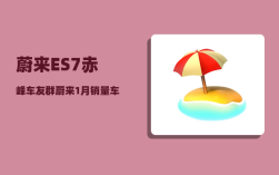 蔚来ES7赤峰车友群_蔚来1月销量车型明细