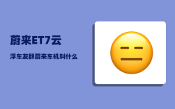 蔚来ET7云浮车友群_蔚来车机叫什么名字