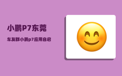 小鹏P7东莞车友群_小鹏p7应用自启哪里设置