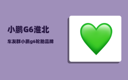 小鹏G6淮北车友群_小鹏g6轮胎品牌