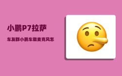 小鹏P7拉萨车友群_小鹏车载麦克风怎么连接
