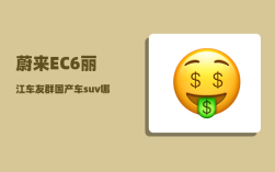 蔚来EC6丽江车友群_国产车suv哪个牌子好
