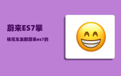 蔚来ES7攀枝花车友群_蔚来es7的落地价