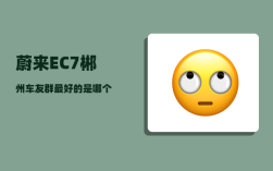 蔚来EC7郴州车友群_最好的是哪个