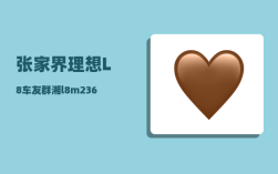 张家界理想L8车友群_湘l8m236是那里的车牌