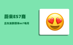 蔚来ES7商丘车友群_蔚来es7有NGP吗