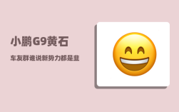 小鹏G9黄石车友群_谁说新势力都是韭菜机