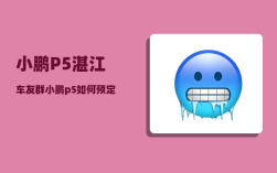 小鹏P5湛江车友群_小鹏p5有行程轨迹吗