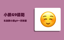 小鹏G9德阳车友群_小鹏g9一月销量