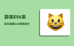 蔚来ES6来宾车友群_es6蔚来是什么厂的车