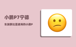 小鹏P7宁德车友群_比亚迪海豹小鹏P7不好吗