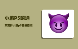 小鹏P5昭通车友群_小鹏p5容易自燃吗