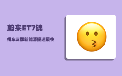 蔚来ET7锦州车友群_新能源提速最快的前10款车