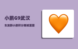 小鹏G9武汉车友群_小鹏积分商城里面的太阳膜好吗