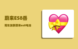 蔚来ES8岳阳车友群_蔚来es8电池哪家的