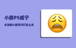 小鹏P5咸宁车友群_小鹏双闪灯怎么关
